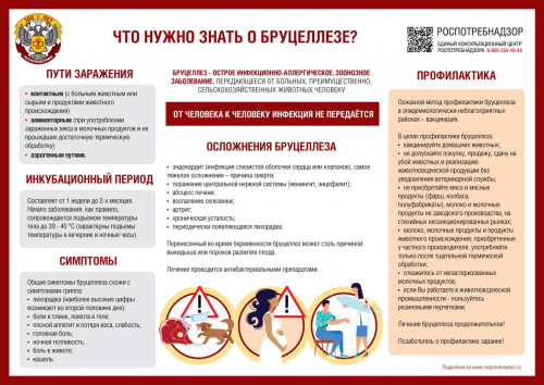 informaciya-dlya-razmesch