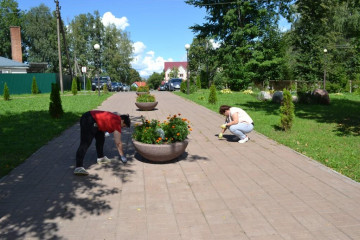 в Починке прошел общегородской субботник - фото - 10