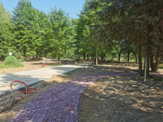 в Парке Гастелло продолжаются работы по благоустройству - фото - 7