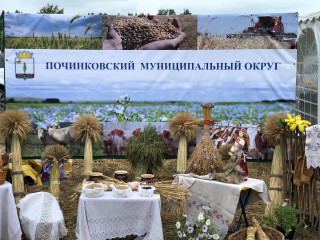 починковский округ принял участие в Дне поля - фото - 7