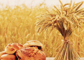 поздравление Главы округа Александра Голуба с Днём работника сельского хозяйства и перерабатывающей промышленности - фото - 1