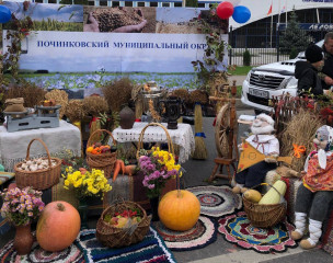 починковский округ принял участие в сельскохозяйственной ярмарке - фото - 5