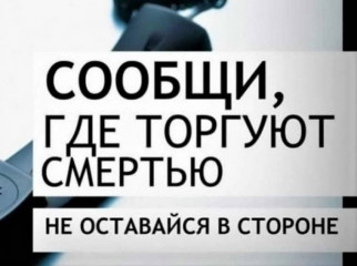 в России проводится второй этап акции «Сообщи, где торгуют смертью!» - фото - 1