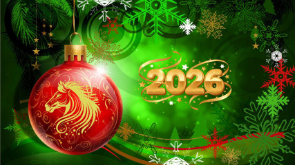 поздравление главы Починковского муниципального округа Александра Голуба с Новым годом и Рождеством - фото - 2