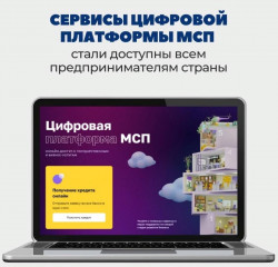 цифровая платформа поддержки предпринимателей МСП.РФ - фото - 1