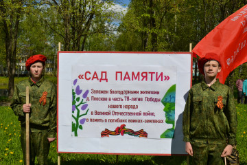 в Починковском районе состоялась акция «Сад памяти» - фото - 10